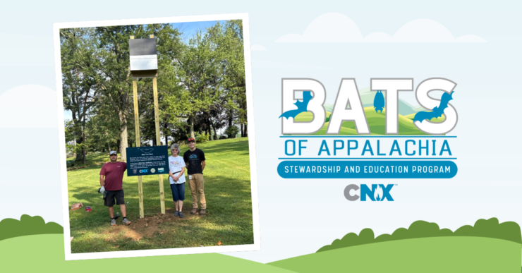 In the News: CNX’s Bat Stewardship Supports Monessen’s City Park